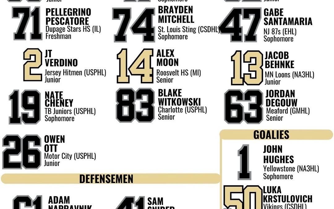 Lineup.