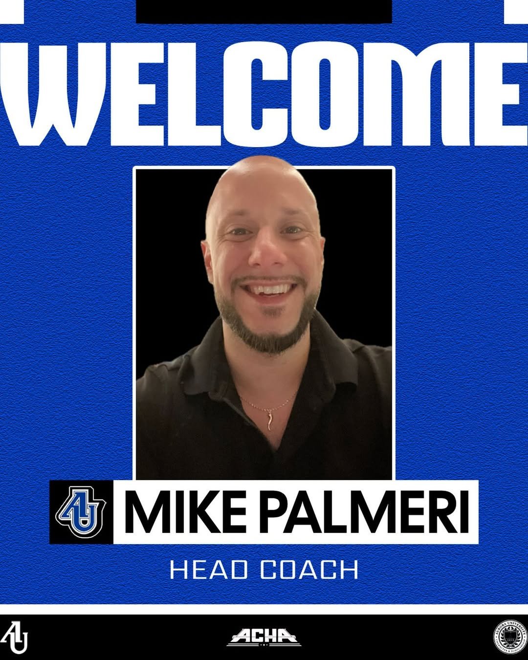 We are proud to welcome Mike Palmeri as Head Coach of the Aurora University ACHA Division II Hockey team!